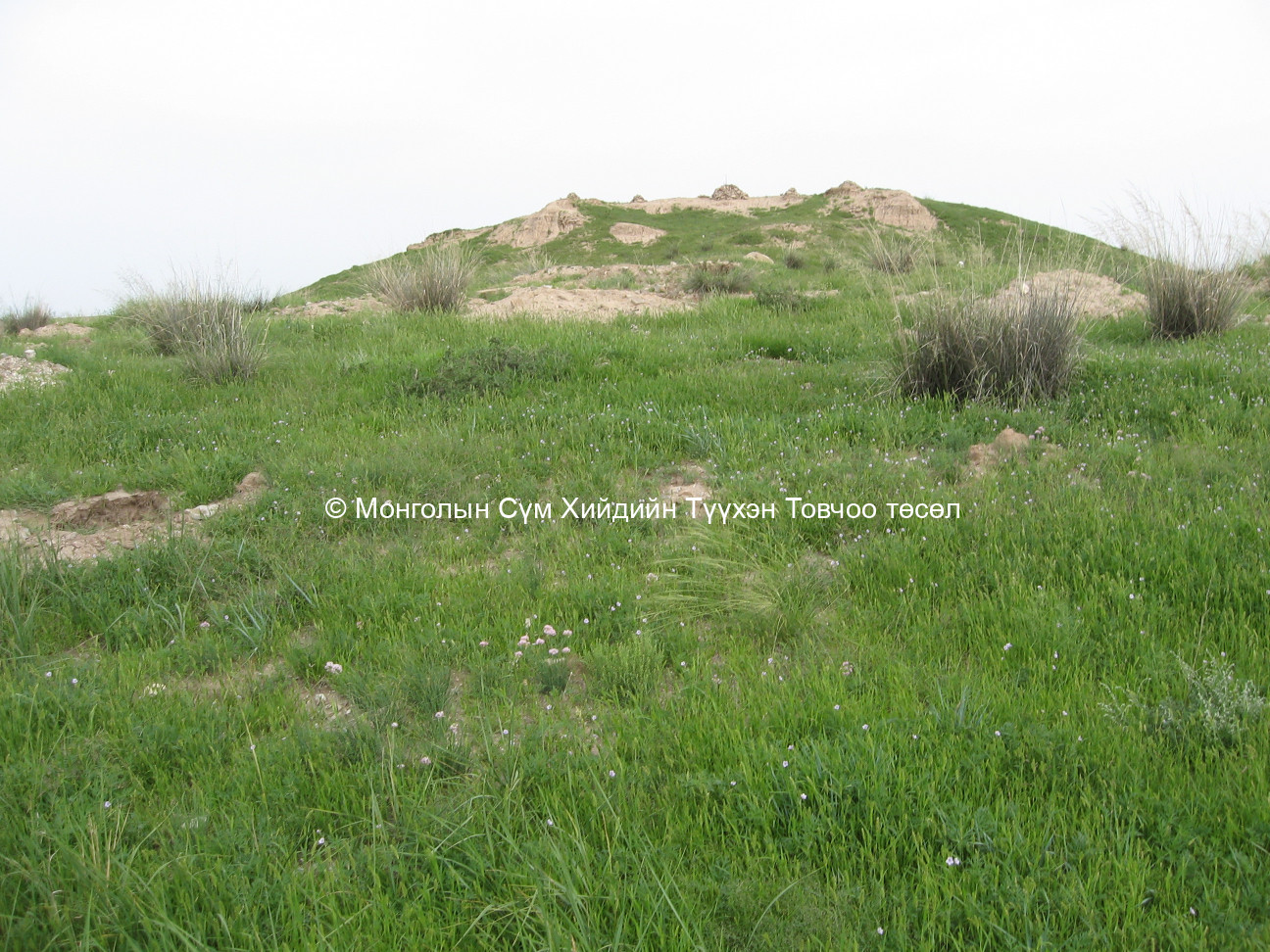 Өмнөд талаас авсан/Утай уулын хийдийн цогчин дуган